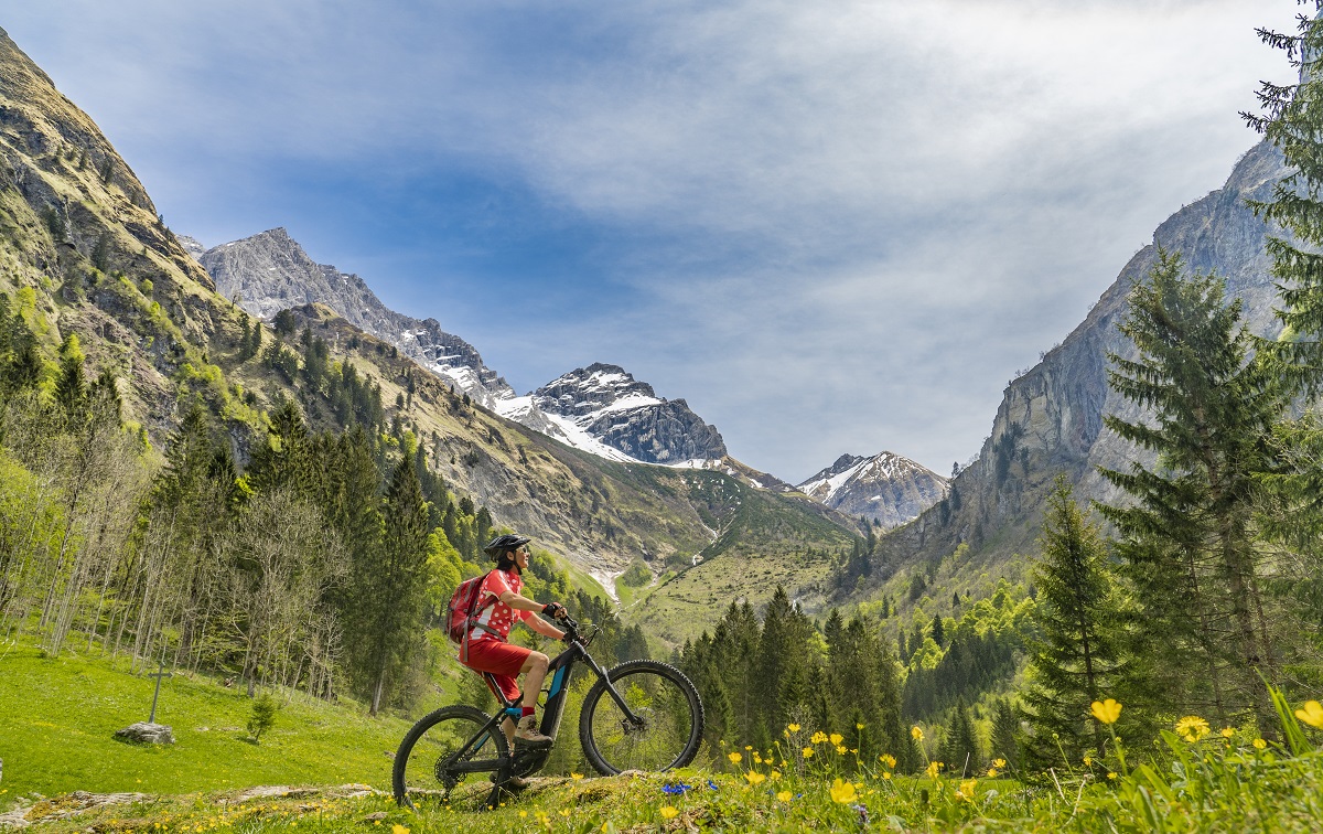 Acquistare biciclette online